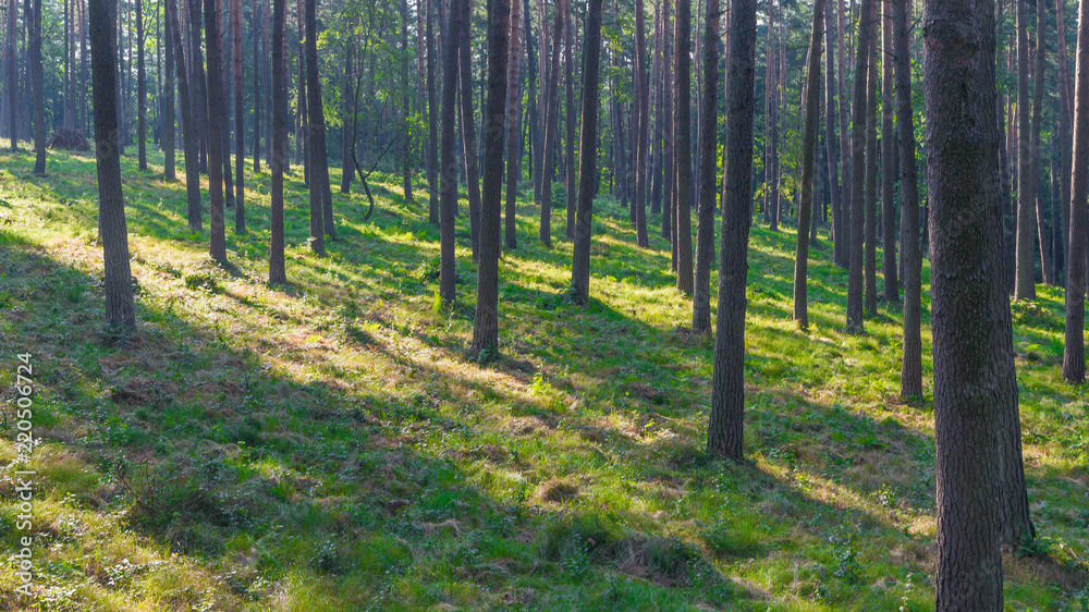 Obraz premium SONY DSC