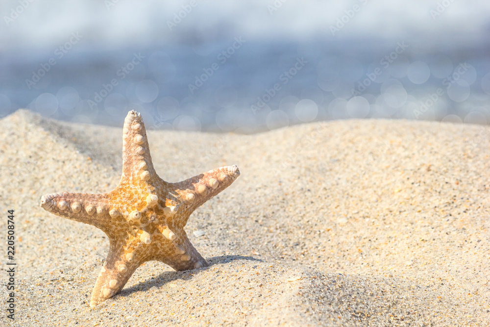 Starfish in the sand against the background of the surf in the rays of summer sun, close-up Starfish in the sand against the background of the surf in the rays of summer sun, close-up