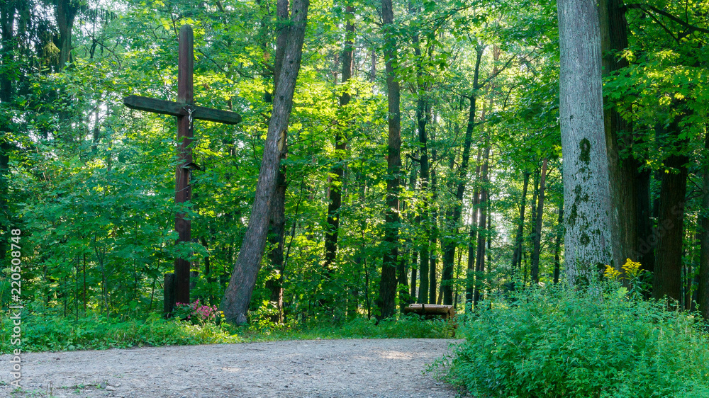 Obraz premium SONY DSC