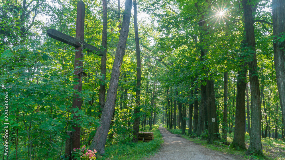 Obraz premium SONY DSC