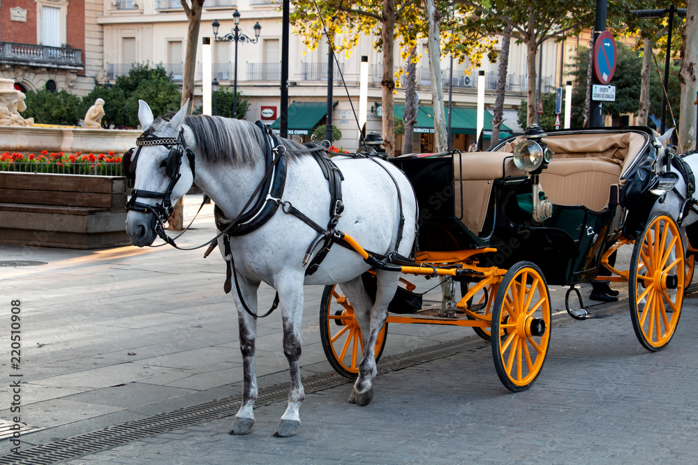 Coche de caballos