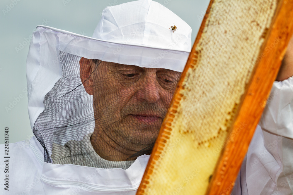 Apiarist is working. Apiarist is working.