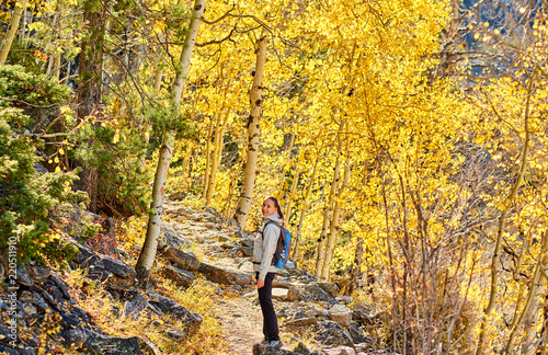 Tourist hiking in aspen grove at autumn © haveseen