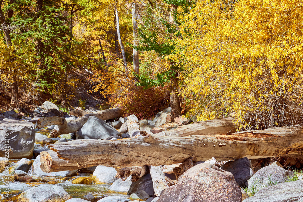 Landscape with autumn trees and river Landscape with autumn trees and river