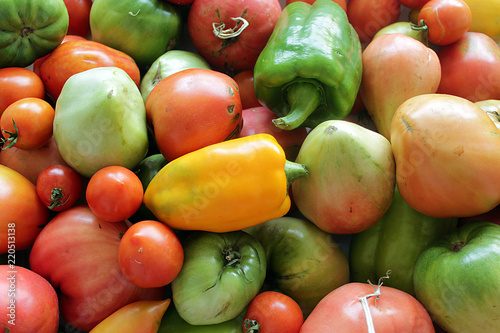 Close up of many fresh red tomatoes big fruit type.