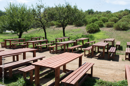 It is Hitachi Beach Park in Ibaraki Prefecture of Japan in summer. It is a bench in a park on a sunny day.