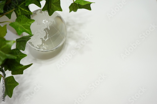 【エコ】地球と植物_コピースペース