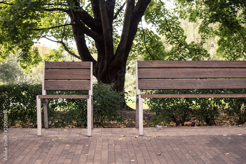 Bench for the misanthrope