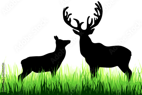 Vector silhouette of deer on a meadow on white background.