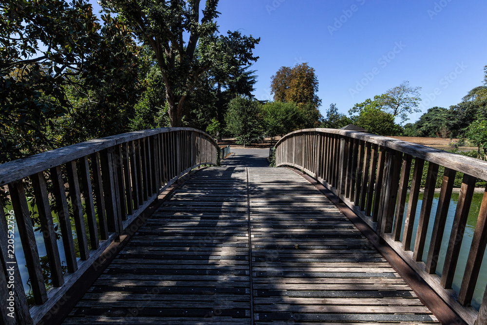 Bridge in park