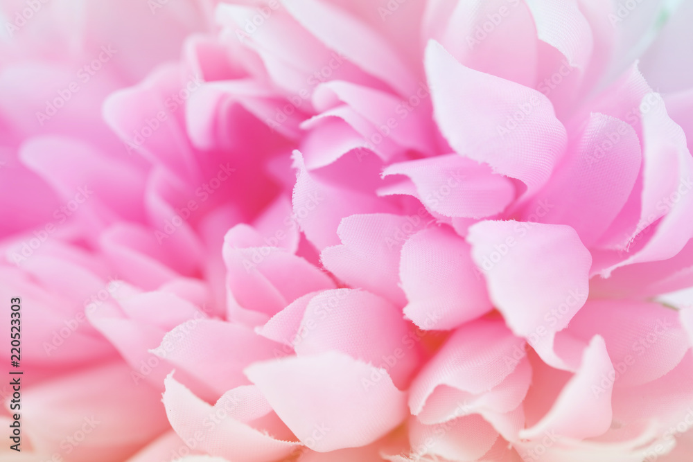 pink flowers made with color filters, soft color and blur style for background