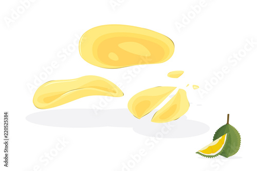 Vector durian chips , durian crispy isolated on white background. King of tropical fruits in thailand