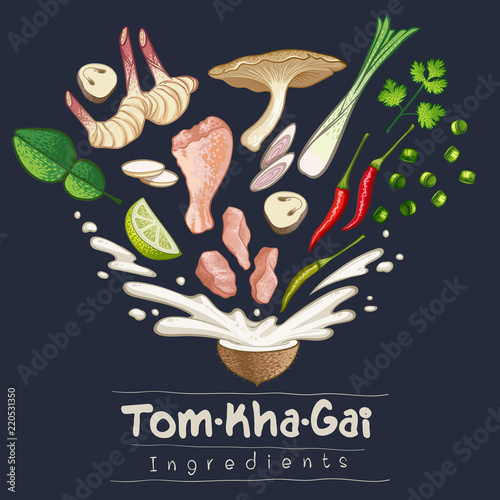 tomkhagai thai food recipe ingredient vector illustration
