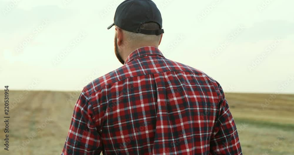 Rear of the caucasian farmer in a hat walking the field full of grain. Close up. back view. Rear of the caucasian farmer in a hat walking the field full of grain. Close up. back view.