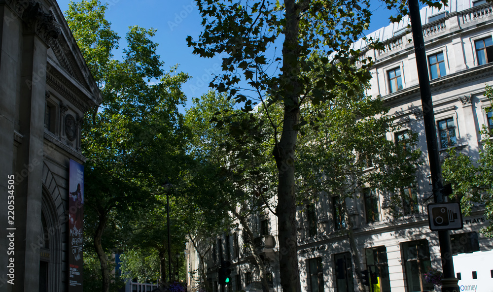 Fototapeta premium London city