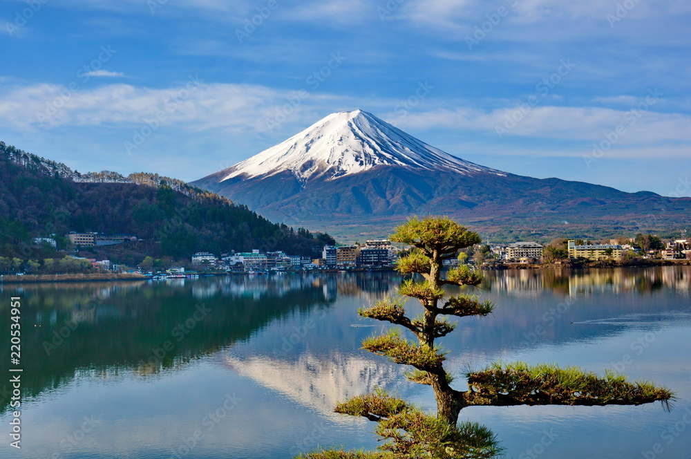 Mount Fuji In Early Morning With Reflection On Lake Kawaguchiko And Little Tree In Front, Japanese Scenery