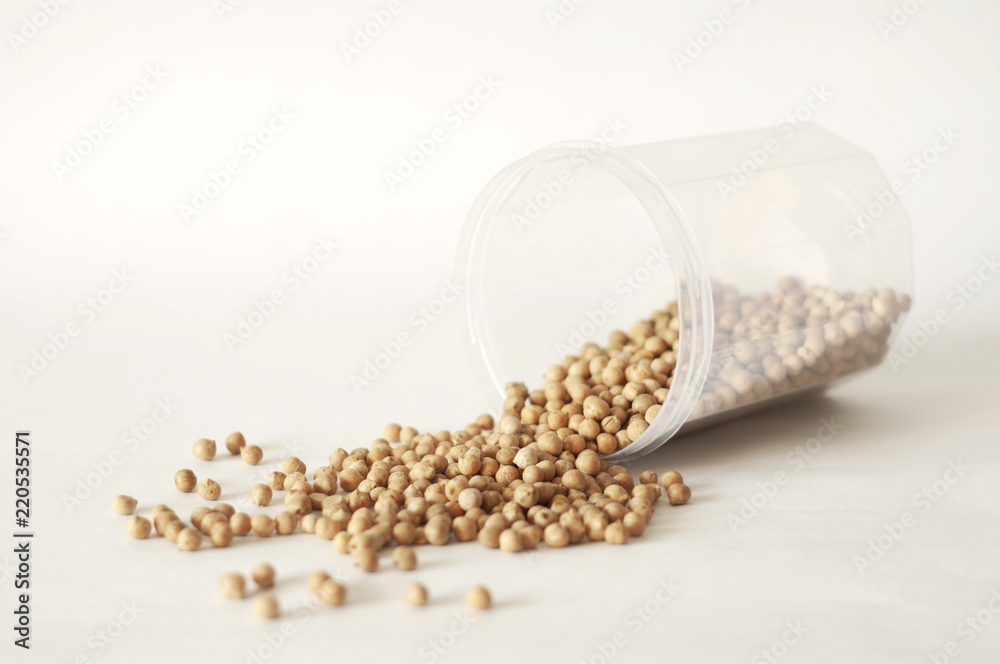 isolated photo of chickpea. white background isolated photo of chickpea. white background