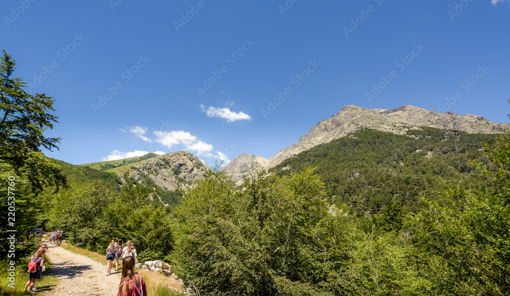Active tourists climbing into the mountains.