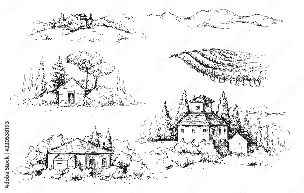 Rural Scene with Houses, Vineyard  and Trees Sketch