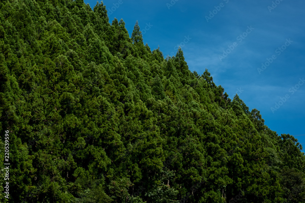 有田市　杉山