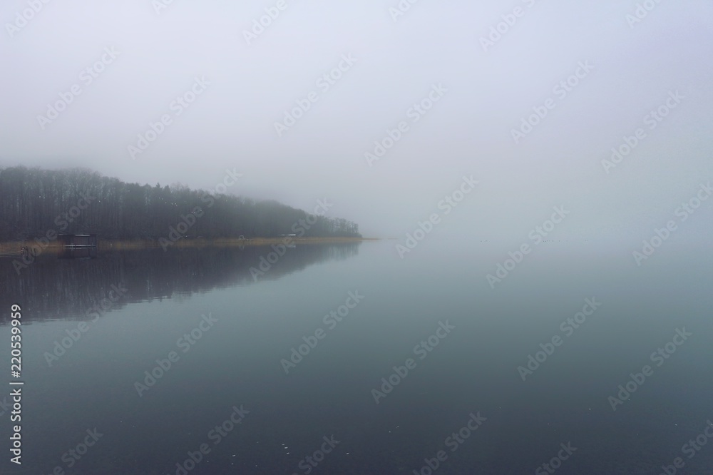 Fototapeta premium Nebel am See im Winter