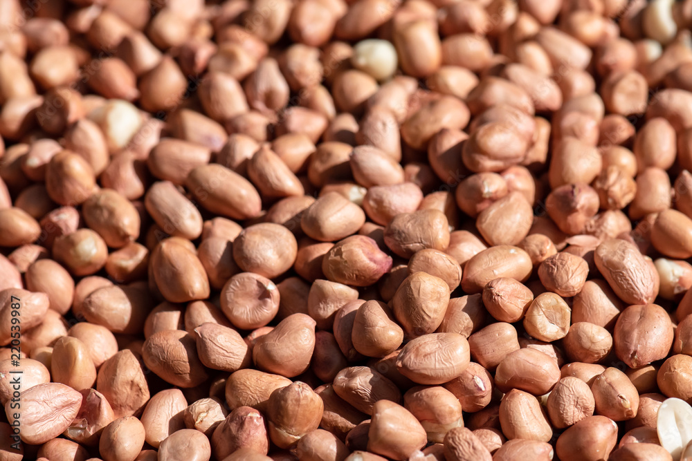 Peanuts are rich in nutrients. Peanuts are rich in nutrients.