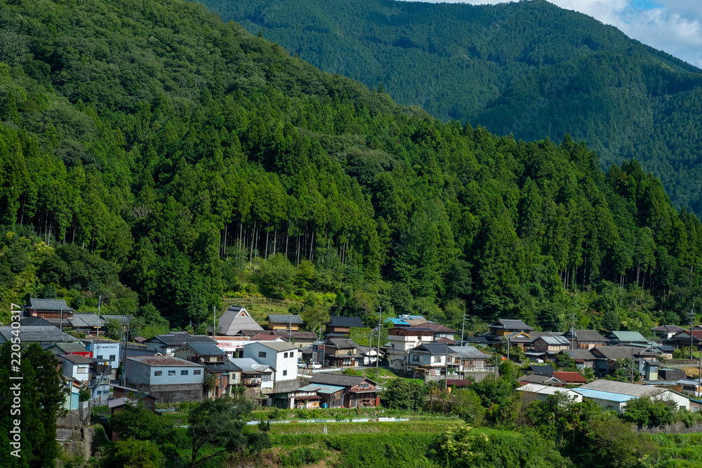 Obraz premium 和歌山県 あらぎ島 棚田