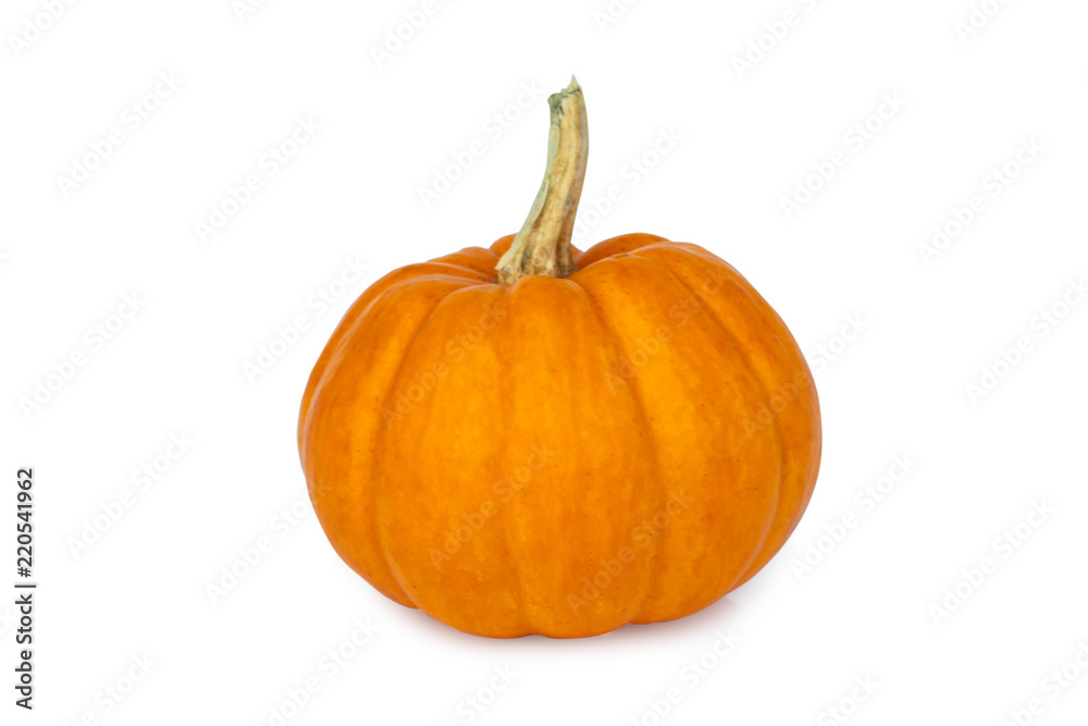 Pumpkin isolated on a white background