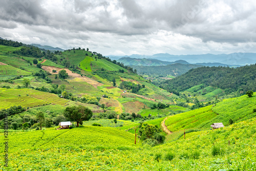 To plant crops on the hillside with cottage.