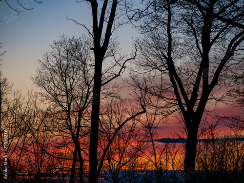 sky turning to orange and purple at sunset © Michele