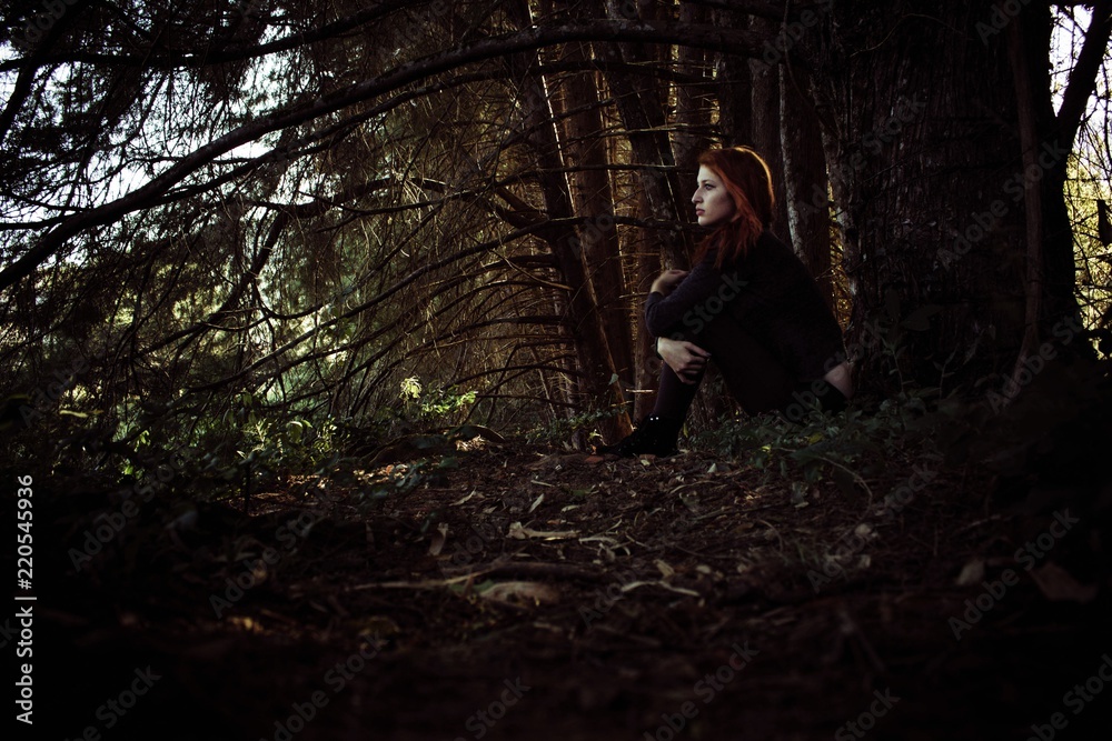 cozy portrait on the pines cozy portrait on the pines