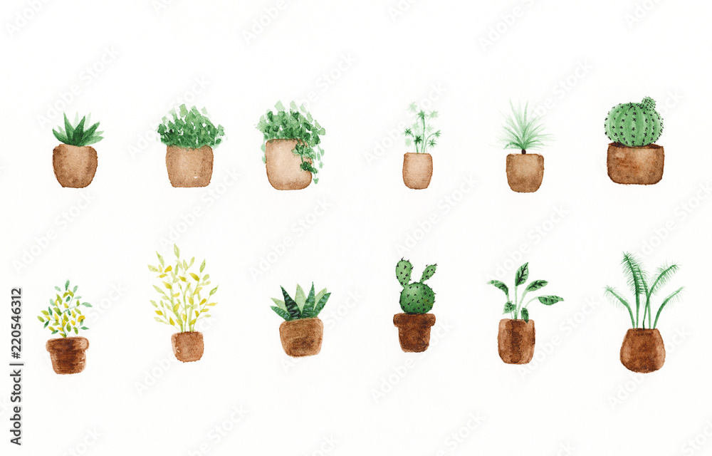 Watercolor green plants in pots