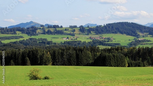 Anhöhe im Spätsommer, Allgäu