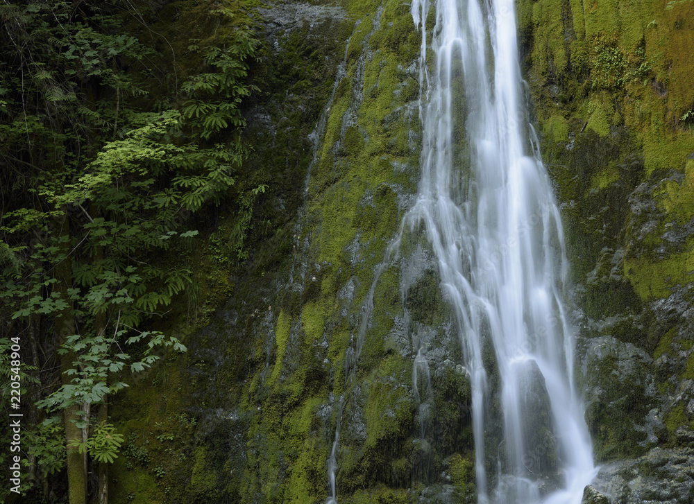 Madison Creek Falls, Olympic National Park, Washington Madison Creek Falls, Olympic National Park, Washington