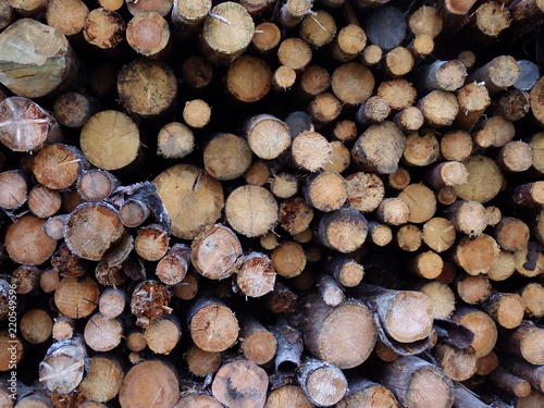 Background of logs