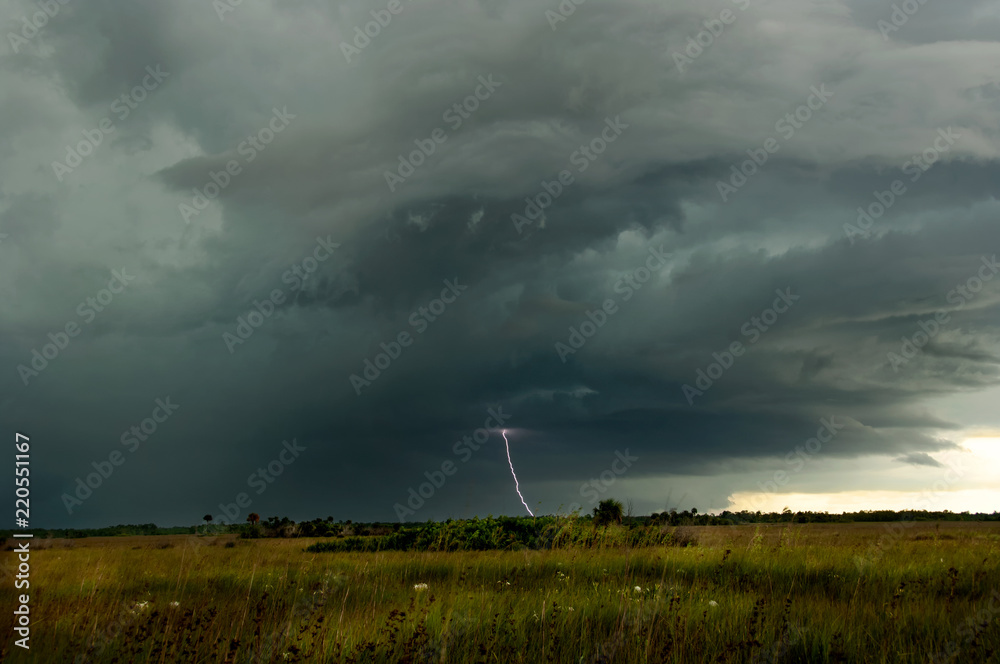 custom made wallpaper toronto digitalThunder and lightning storm over the Everglades swamp in Big Cypress, Florida, USA