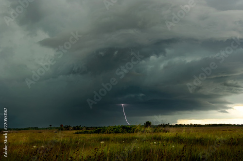 Wallpaper Mural Thunder and lightning storm over the Everglades swamp in Big Cypress, Florida, USA Torontodigital.ca