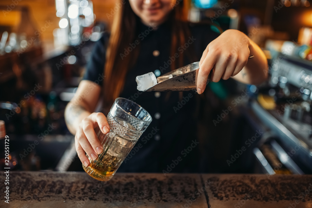 Female barman mixing at the bar counter in pub