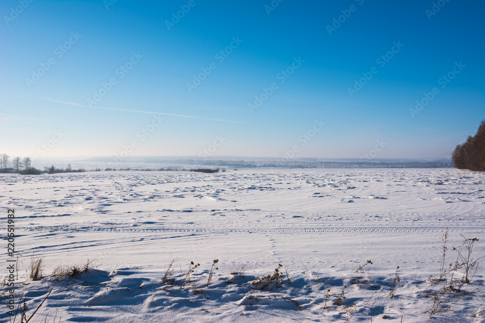 The steppe is covered with snow in winter, a trees in hoarfrost, a blue sky. A lot of snow. Winter landscape.