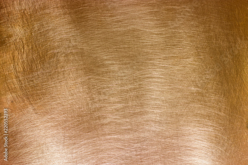 Gold plate, texture of gold...