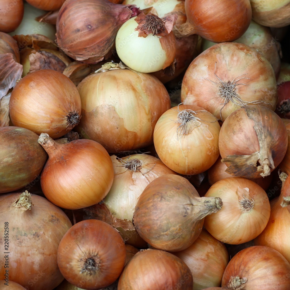 A bunch of onions. A bunch of onions.