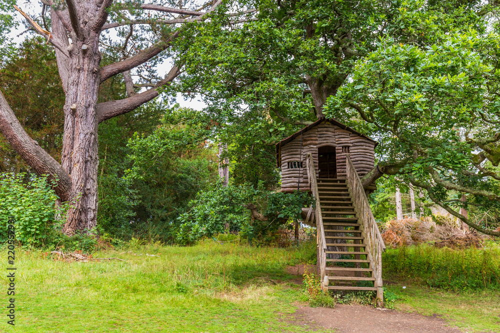 Cozy little wooden playhouse in an old big tree in a public park with stairs and windows,