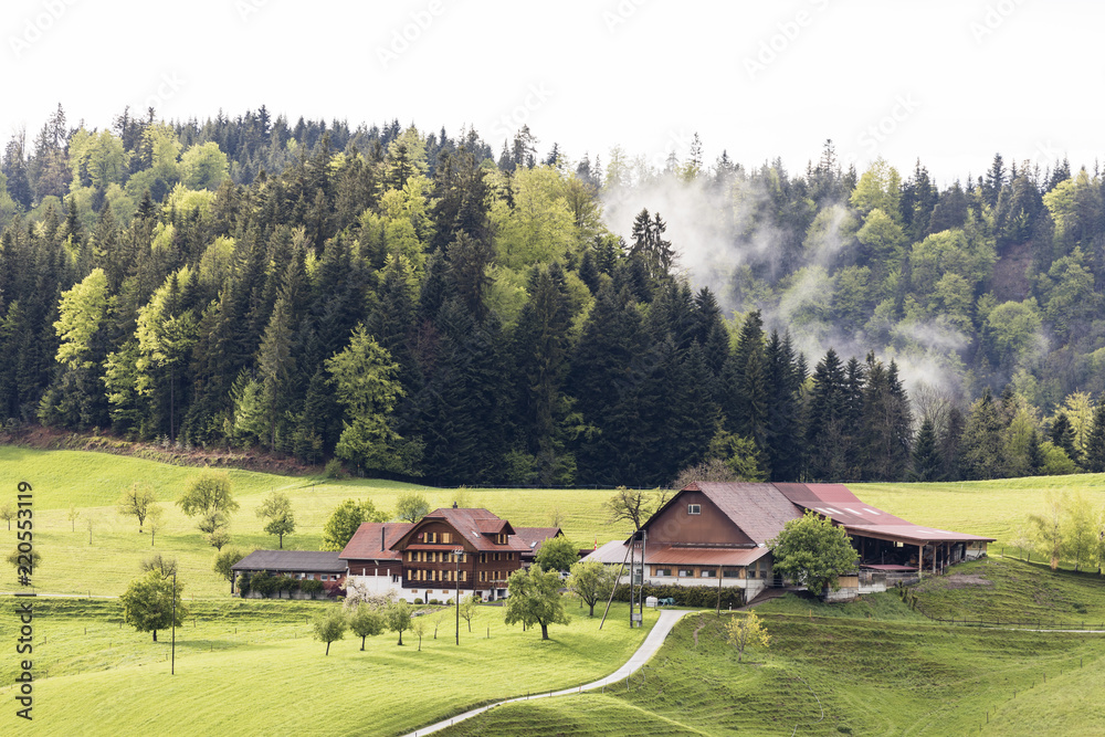 Foggy spring day with a farm in Entlebuch in the canton of Lucerne in central Switzerland