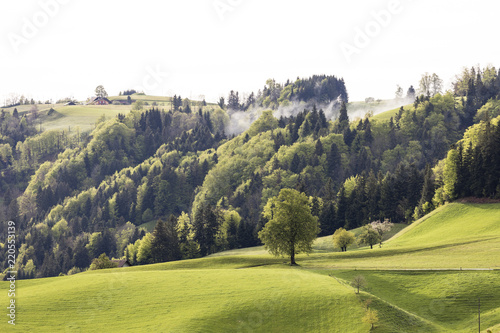 Foggy spring day in Entlebuch in the canton of Lucerne in central Switzerland