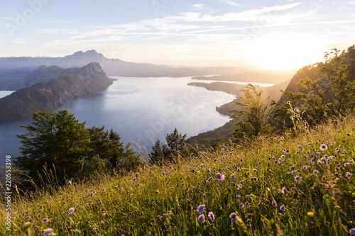 Sunset on Lake Lucerne with Buergenstock and Mount Pilatus with grasses in the foreground
