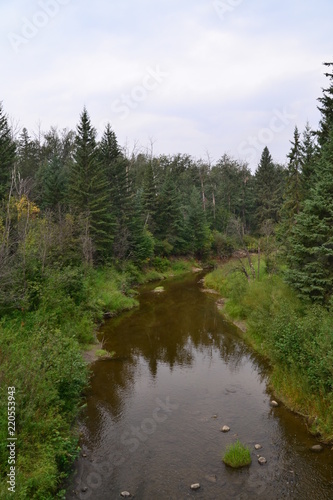 Creek at Whitemud Park in Edmonton, AB