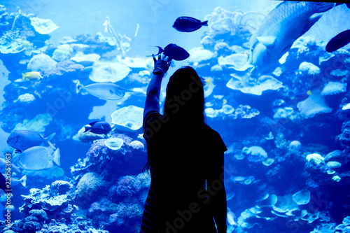 Woman Silhouette with aquarium tank background full of fish