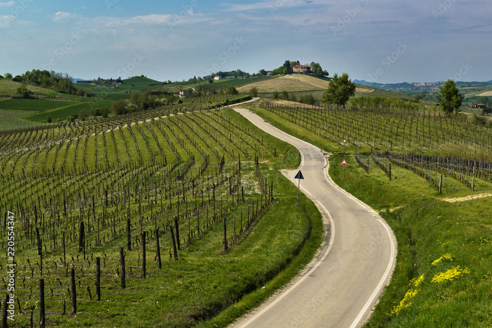 Road that passes through the green hills with vineyards and trees, on the bottom there is a house