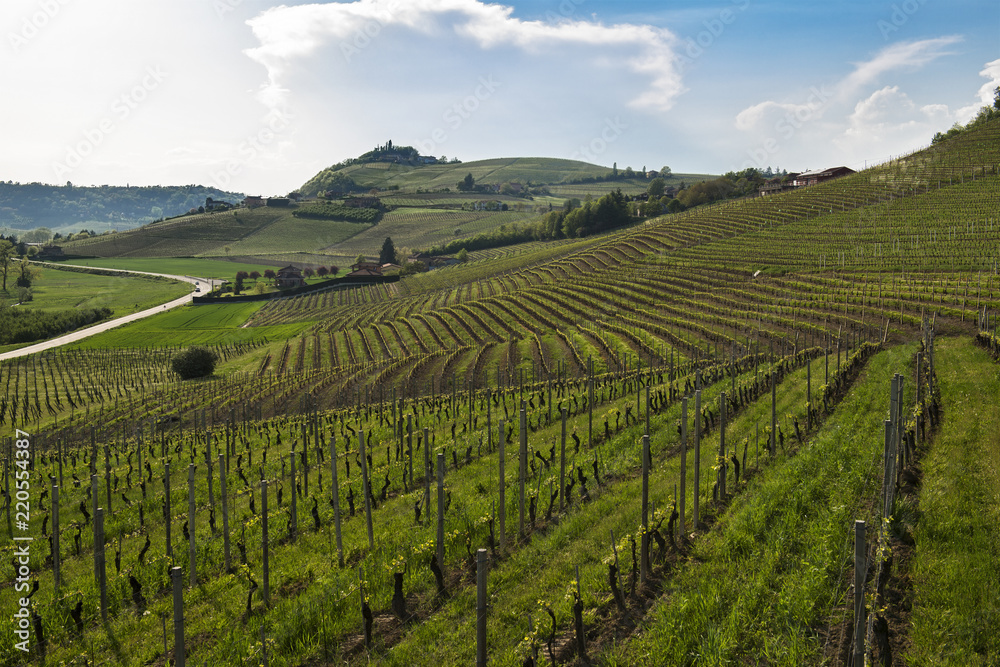 View on hills with cultivated vineyards and woods