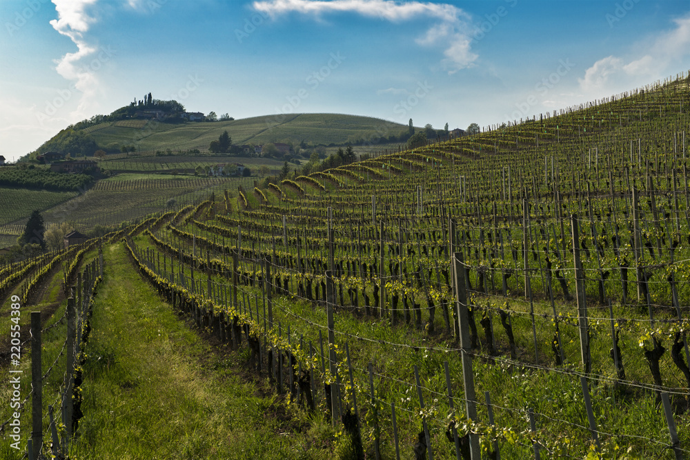 View on hills with cultivated vineyards and woods